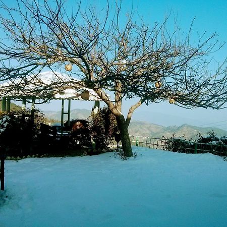 The Swiss Village Resort Nainital Buitenkant foto