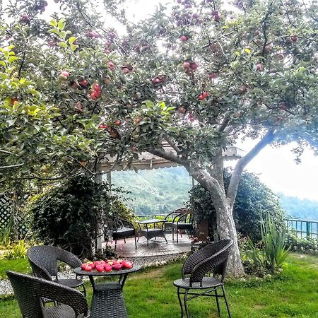 The Swiss Village Resort Nainital Buitenkant foto