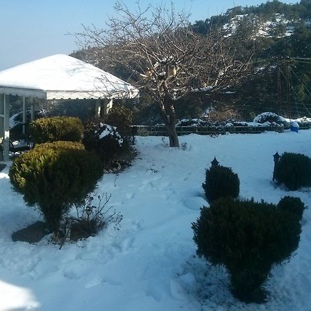 The Swiss Village Resort Nainital Buitenkant foto